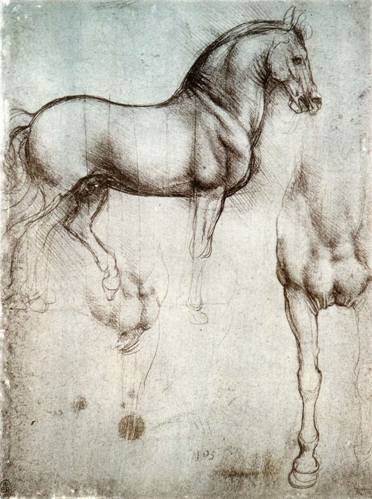 Drawings from Horse Study